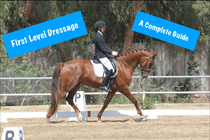 Dressage first level test 1