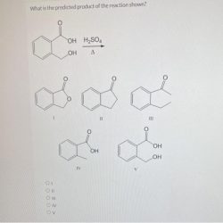 What is the predicted product of the following reaction