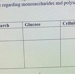 Complete the following table regarding monosaccharides and polysaccharides